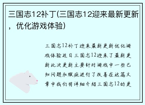 三国志12补丁(三国志12迎来最新更新，优化游戏体验)